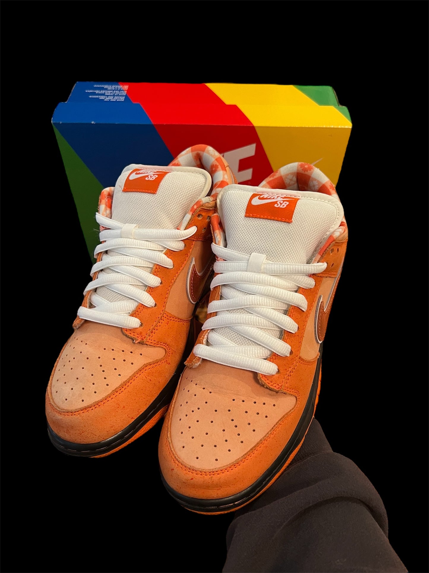 Preowned Orange Lobster SB Dunk Lows size 10