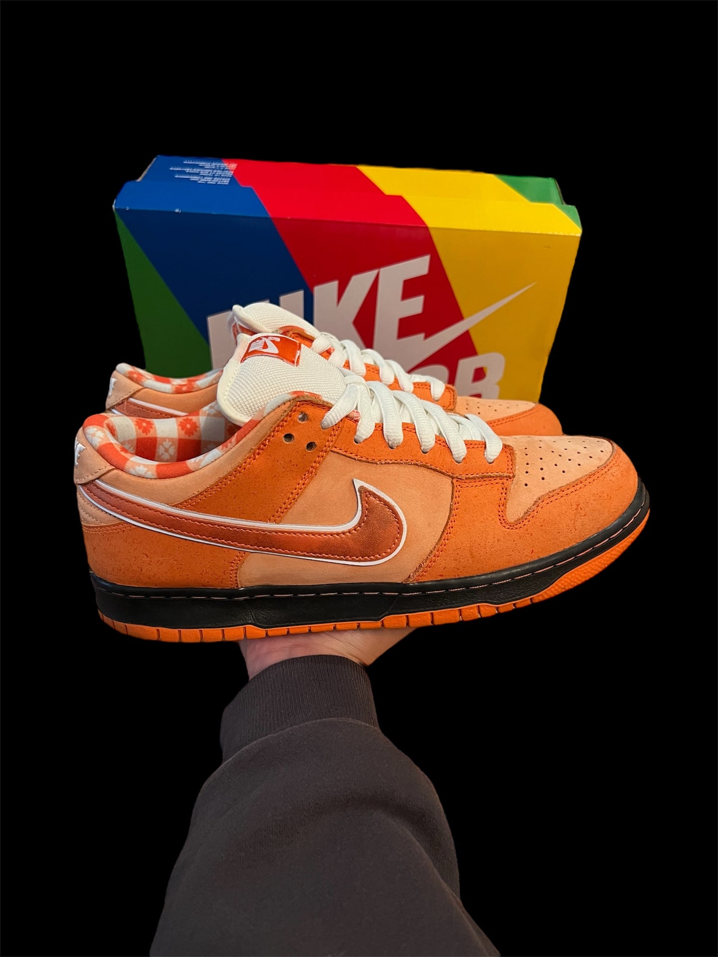 Preowned Orange Lobster SB Dunk Lows size 10