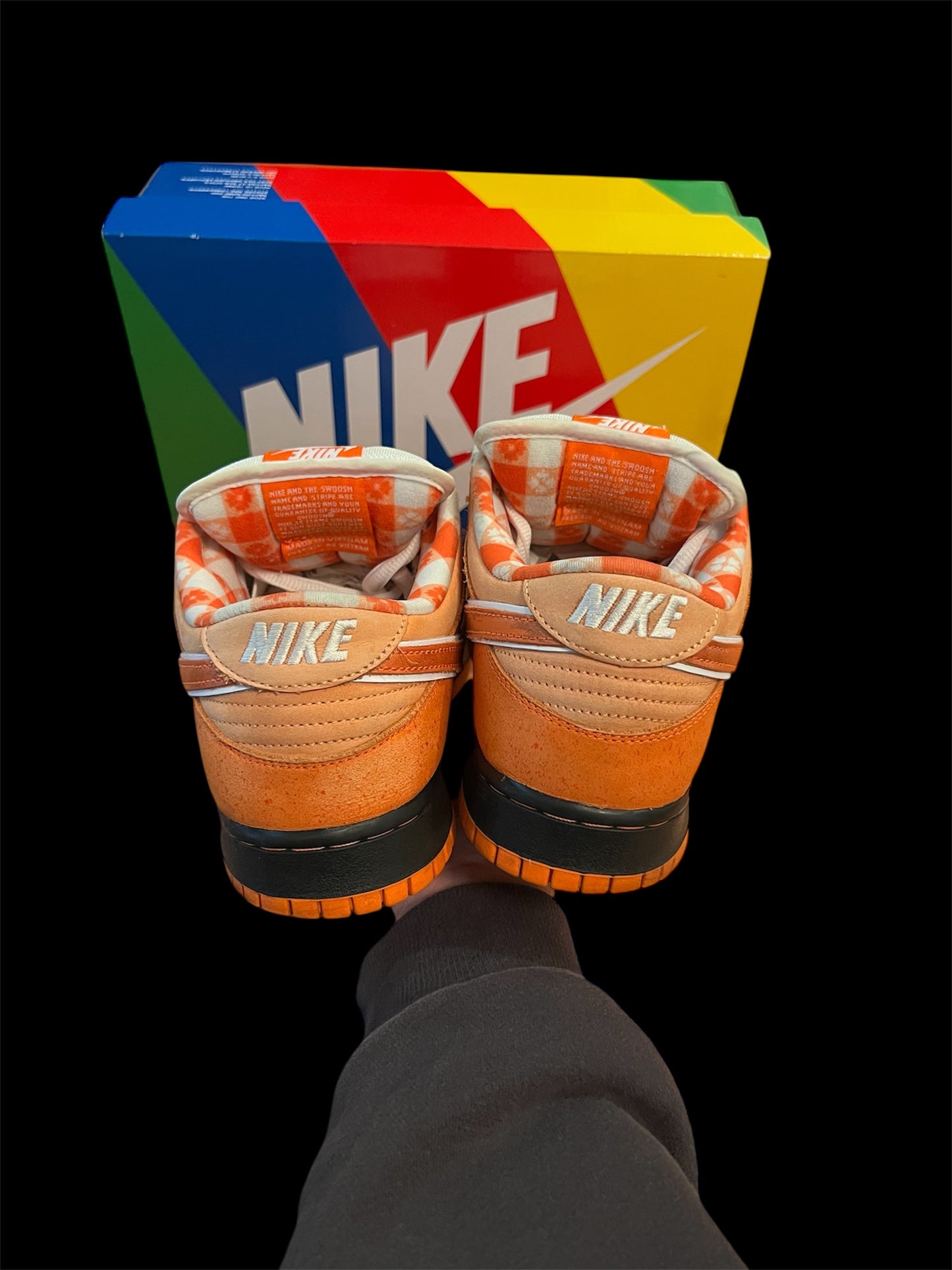 Preowned Orange Lobster SB Dunk Lows size 10